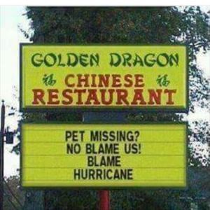 Meet your Posher, Olga